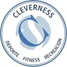 Escudo de Cleverness, Pilar